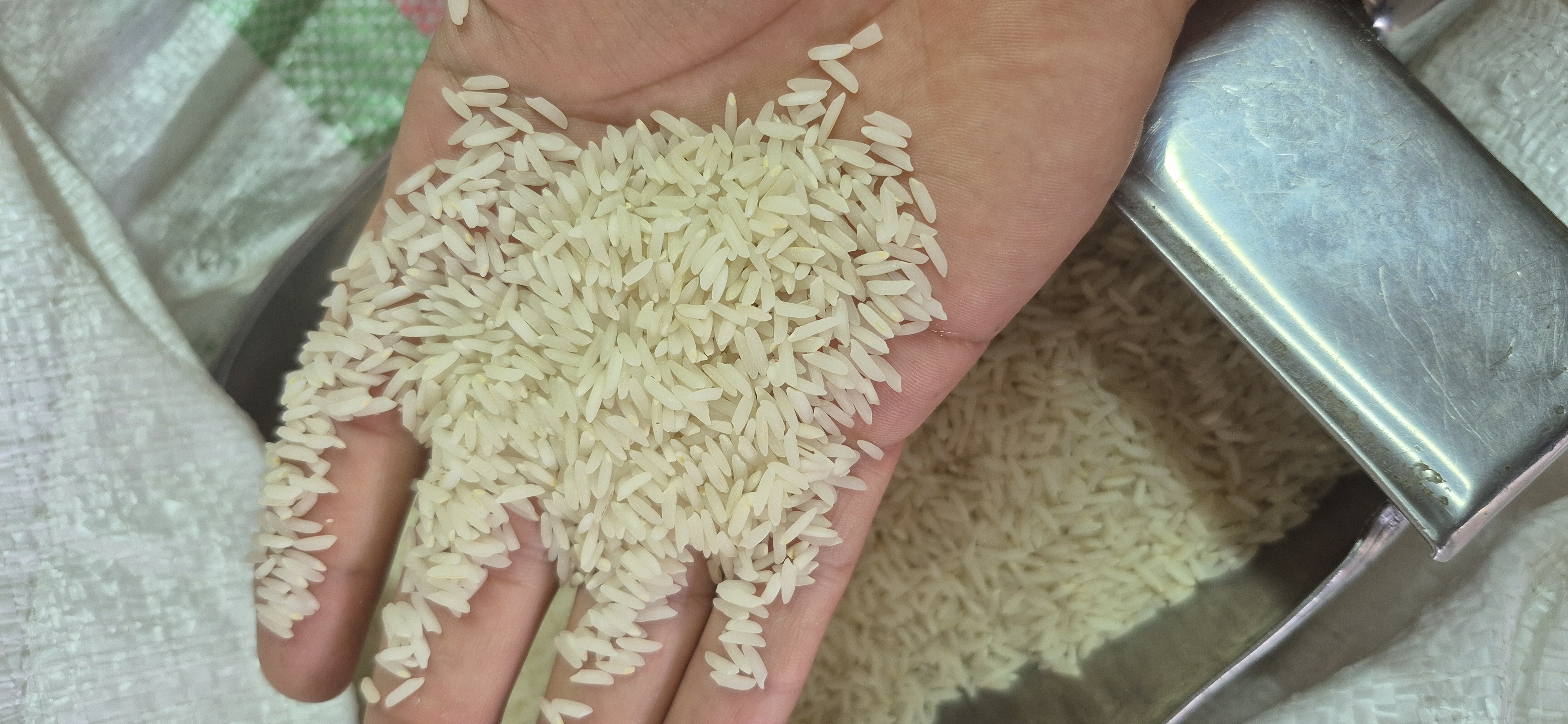 برنج هاشمی ممتاز اطمینان از بهترین شالیزارهای گیلان برداشت می‌شود. این برنج دانه‌بلند و خوش‌عطر، پس از پخت نرم و خوش‌طعم می‌شود و برای مهمانی‌ها و مصرف روزانه انتخابی عالی است. بسته‌بندی‌ها در وزن‌های ۵ و ۱۰ کیلویی با کیسه پارچه‌ای و پلاستیکی عرضه می‌شود.