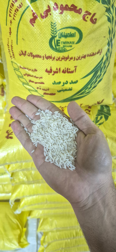 برنج زرده دم ممتاز ۱۰ کیلویی آستانه اشرفیه
